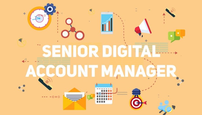 Senior Digital Account Manager