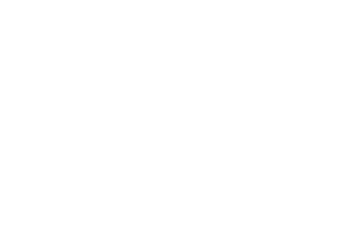 Magyar Kereskedelmi és Iparkamara (MKIK)