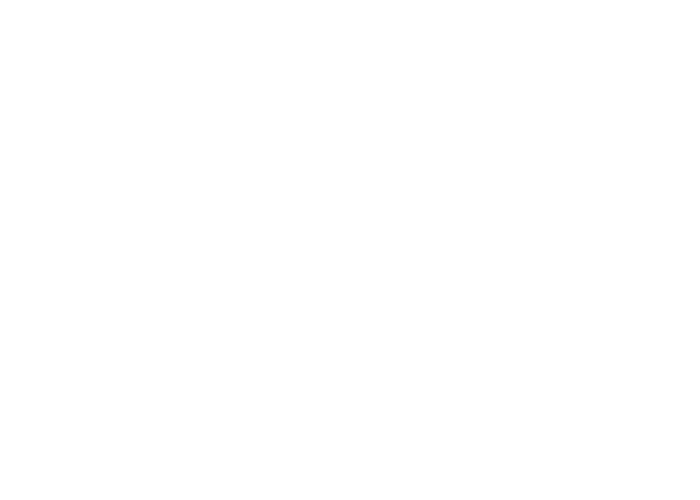 Baumgartner