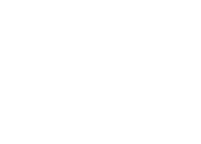 BIM