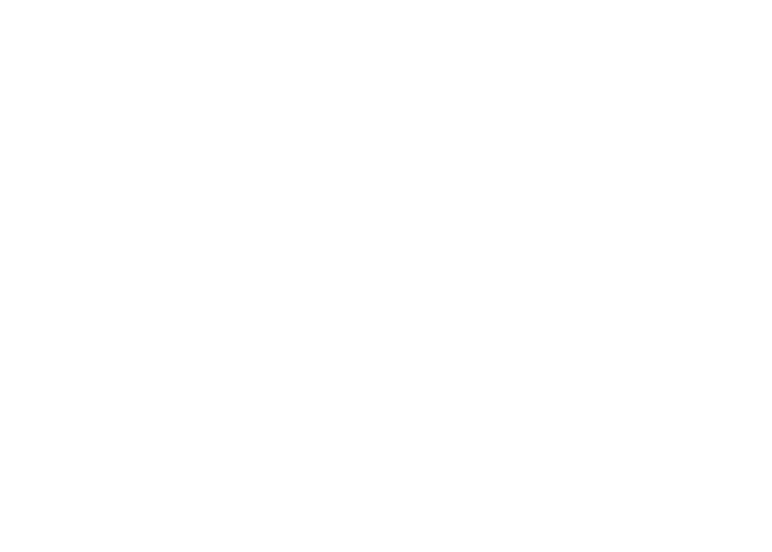 Budapest Airport