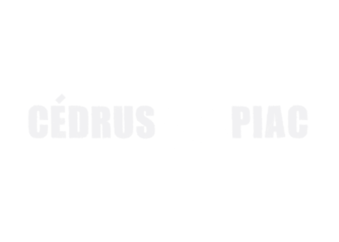Cédrus Üzletház (Nyíregyháza)