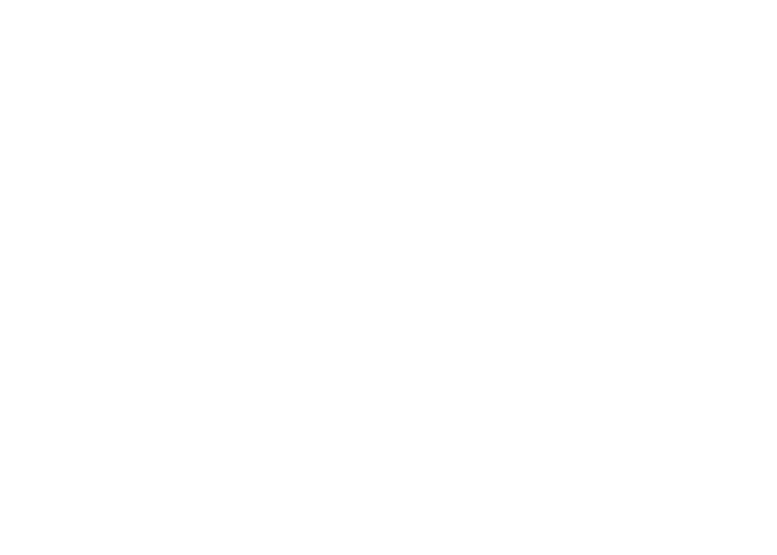 Lipton