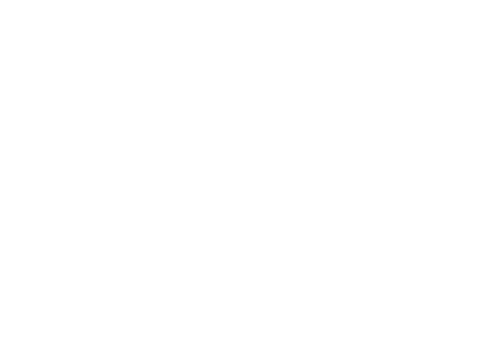 Nyír Plaza (Nyíregyháza)