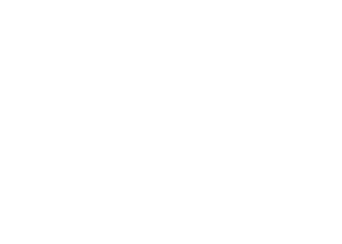 Visol