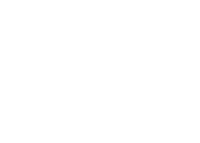 Waberer's