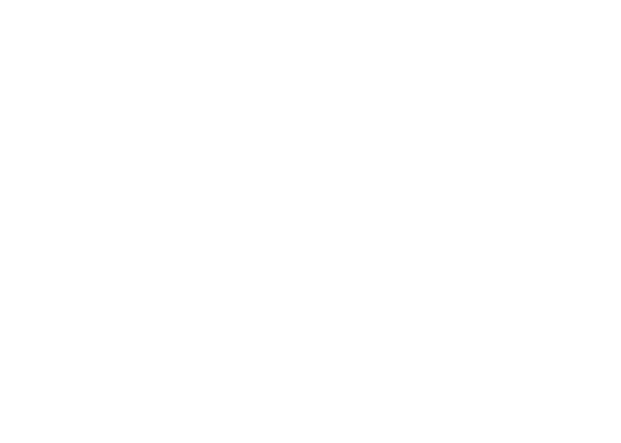 Zala Plaza (Zalaegerszeg)