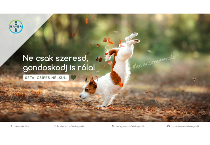 Bayer #csipesnelkul kampány