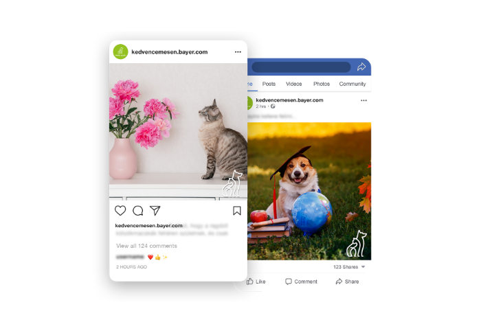 Bayer - Animal HeathCare - Felelős Gazdik