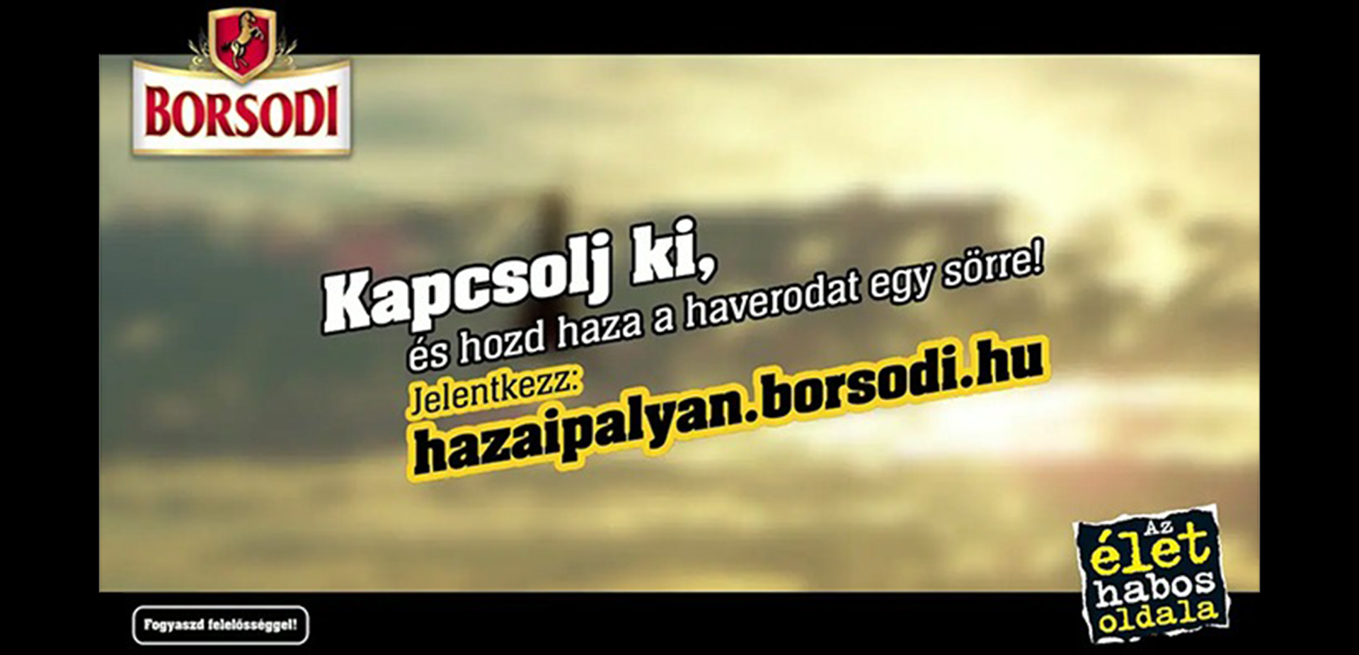Borsodi – Bring your friend home!