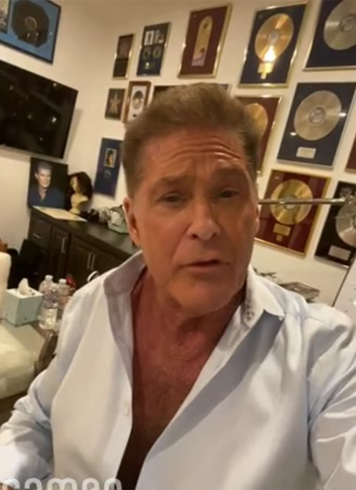 Hasselhoff